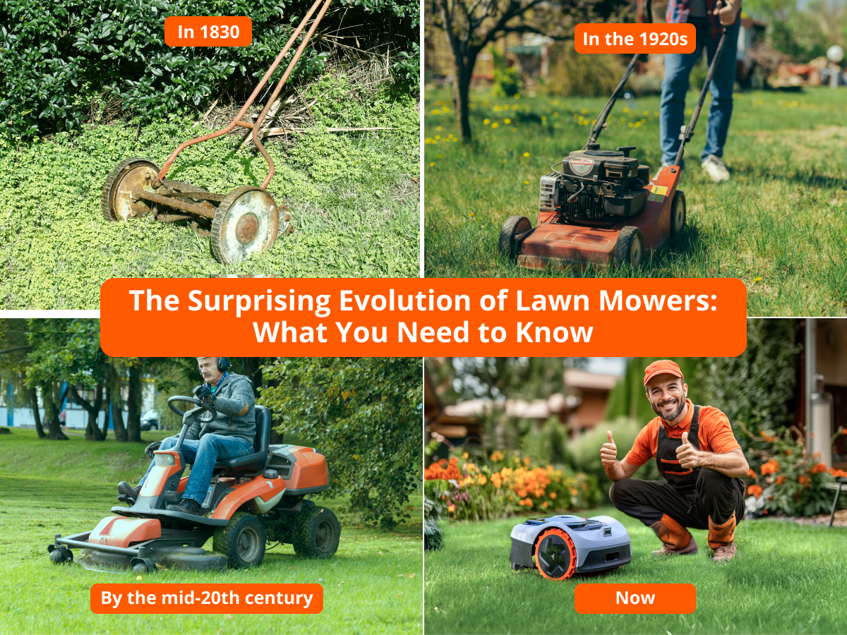 The Surprising Evolution of Lawn Mowers: What You Need to Know